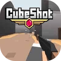 Cubeshot Logo